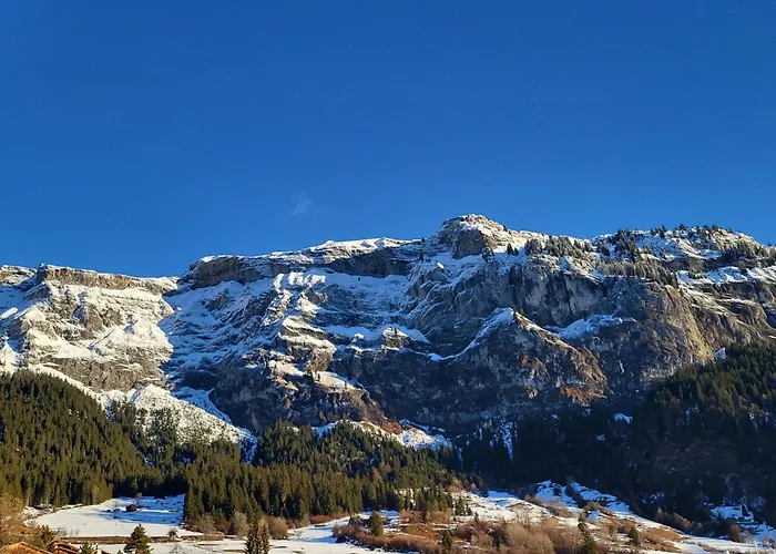 Mygrischa By Interhome Appartement *