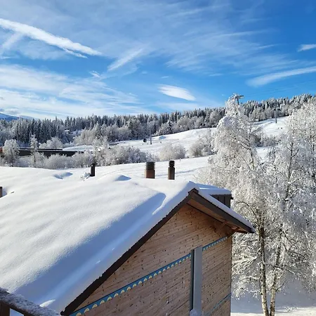 Mygrischa By Interhome * Flims