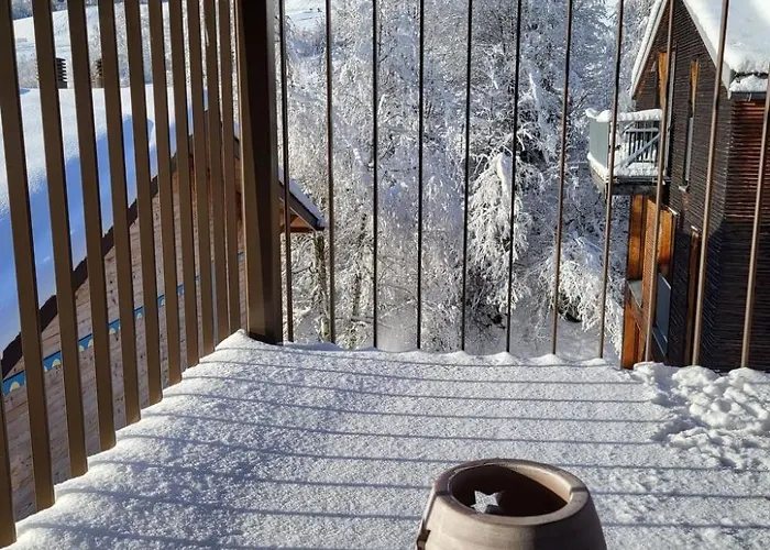 Mygrischa By Interhome Flims